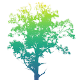Haferholz Korporation
